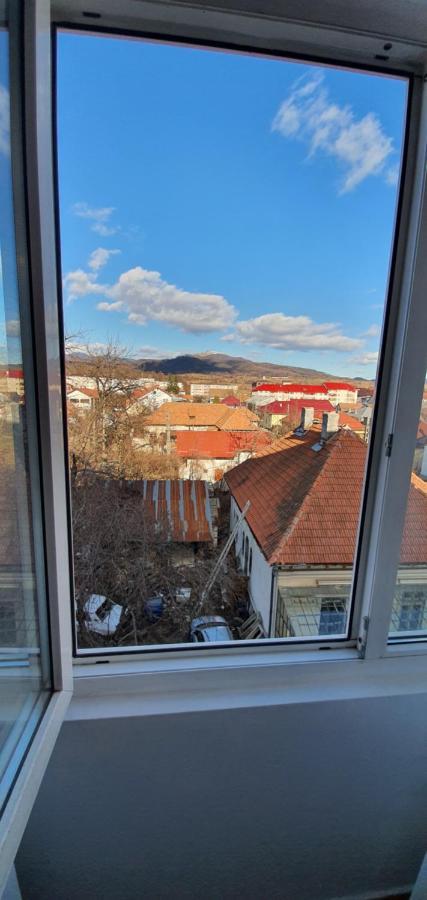 Garsoniera Horezu Apartment Exterior photo